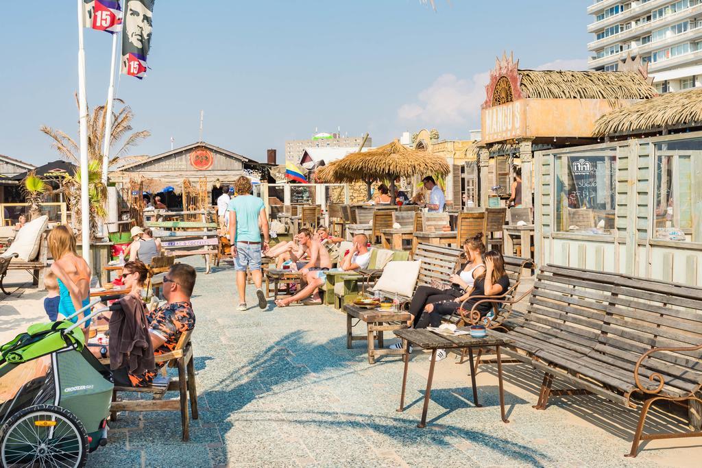 Cute Beach House Zandvoort Eksteriør billede